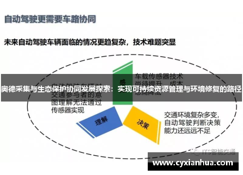 奥德采集与生态保护协同发展探索：实现可持续资源管理与环境修复的路径